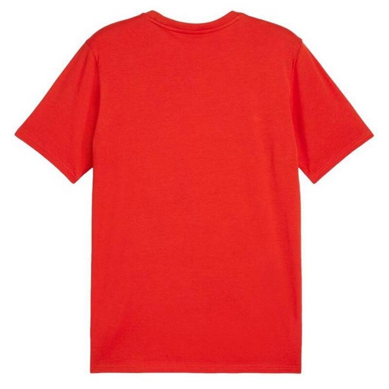 Tricou Drumeții În Natură Puma Team Goal Casuals Bărbați