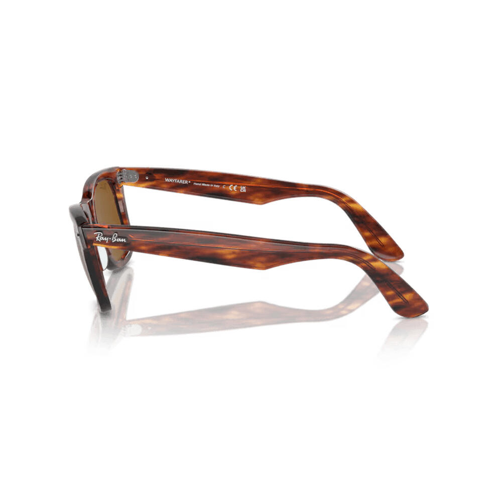 Unisex - Sunglasses - Timeless - WAYFARER - copper brown 3/7