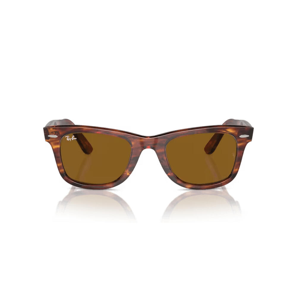 Unisex - Sunglasses - Timeless - WAYFARER - copper brown 2/7