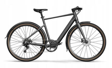 Second Life - Fiido C21 Adult Trail 9-Gang Hybrid Gravel Elektrofahrrad L