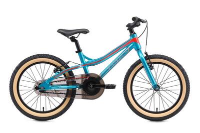Bicicletta per bambini 18 pollici dai 5 - 7 anni. Mountain