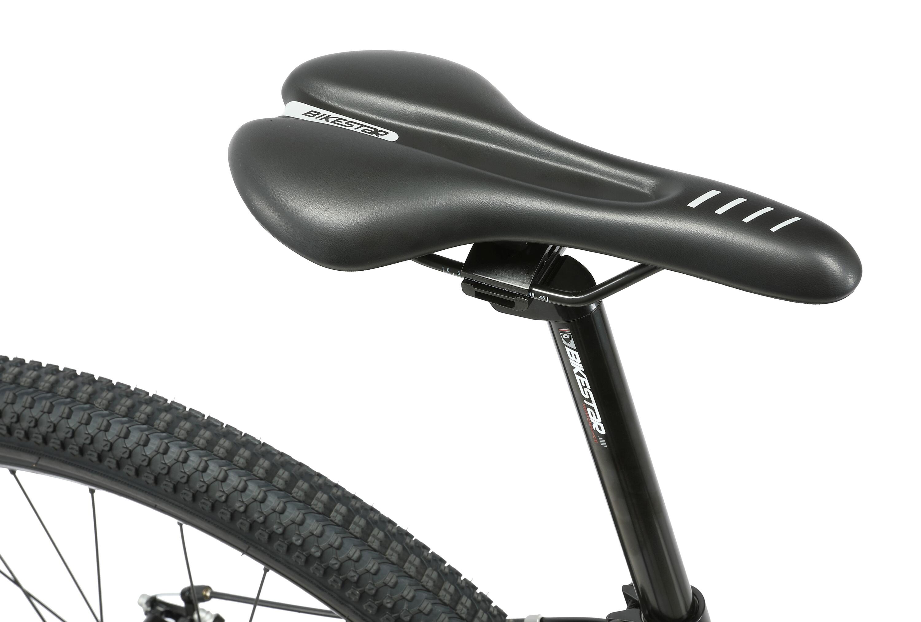 MTB 29" aluminium, hardtail, 21 Gang, Scheibenbremse 4/4