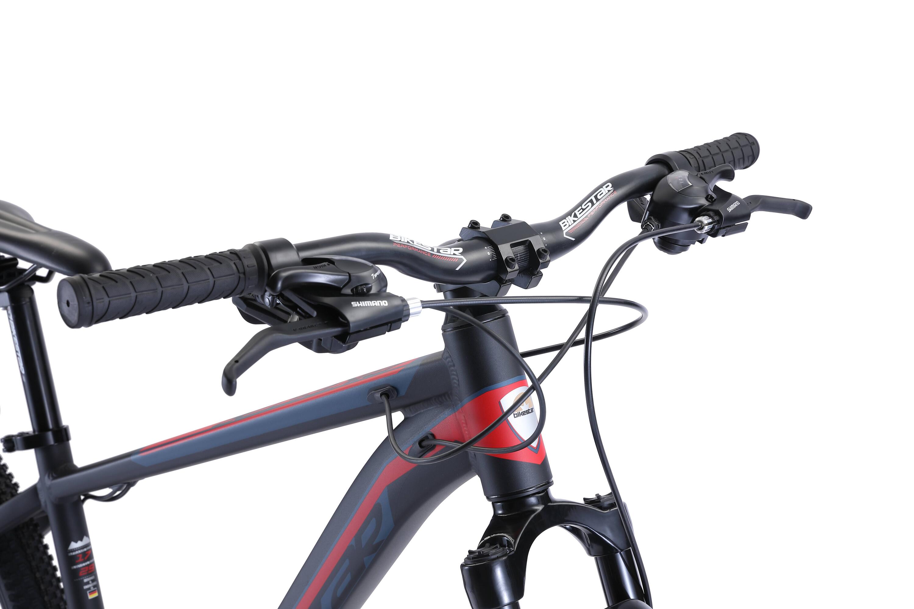 MTB 29" aluminium, hardtail, 21 Gang, Scheibenbremse 4/4
