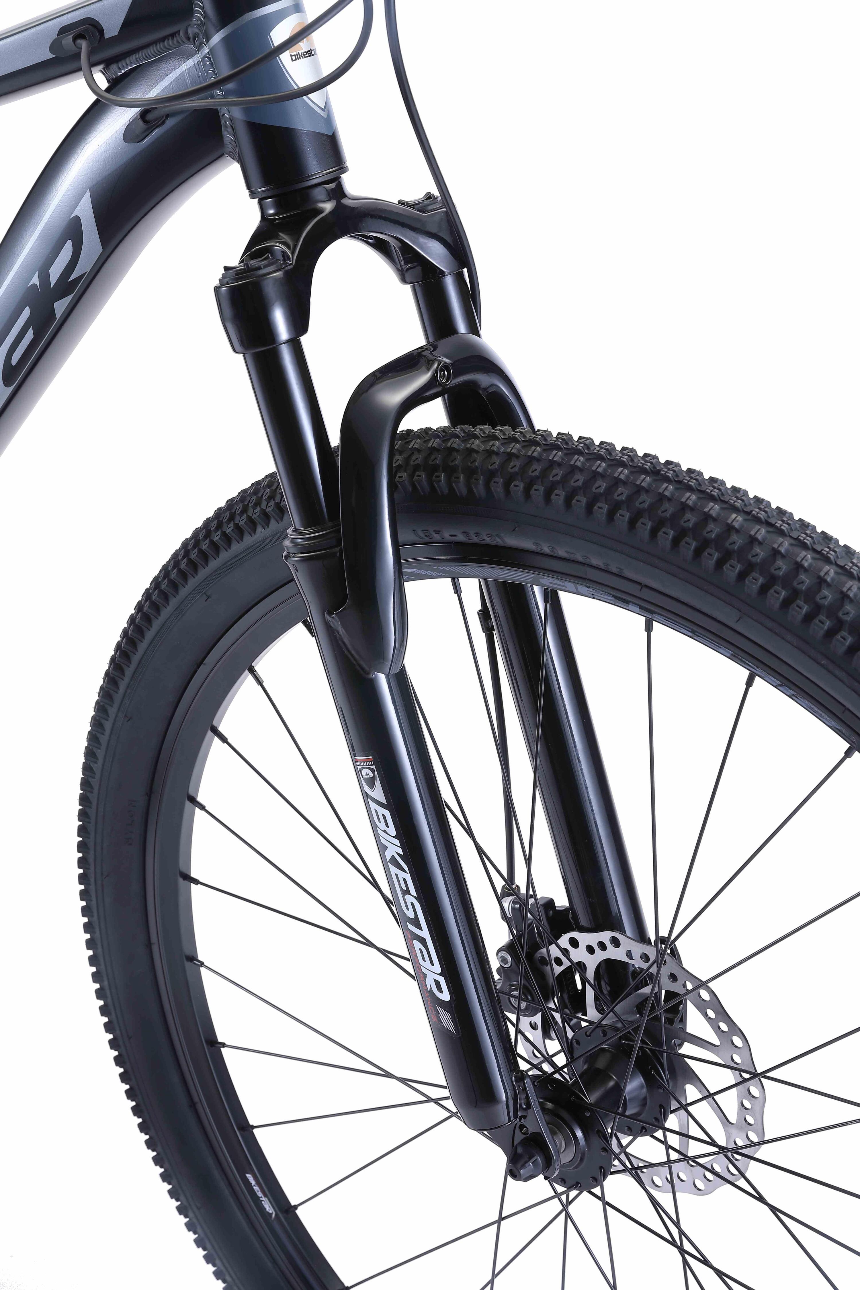 MTB 29" aluminium, hardtail, 21 Gang, Scheibenbremse 4/4