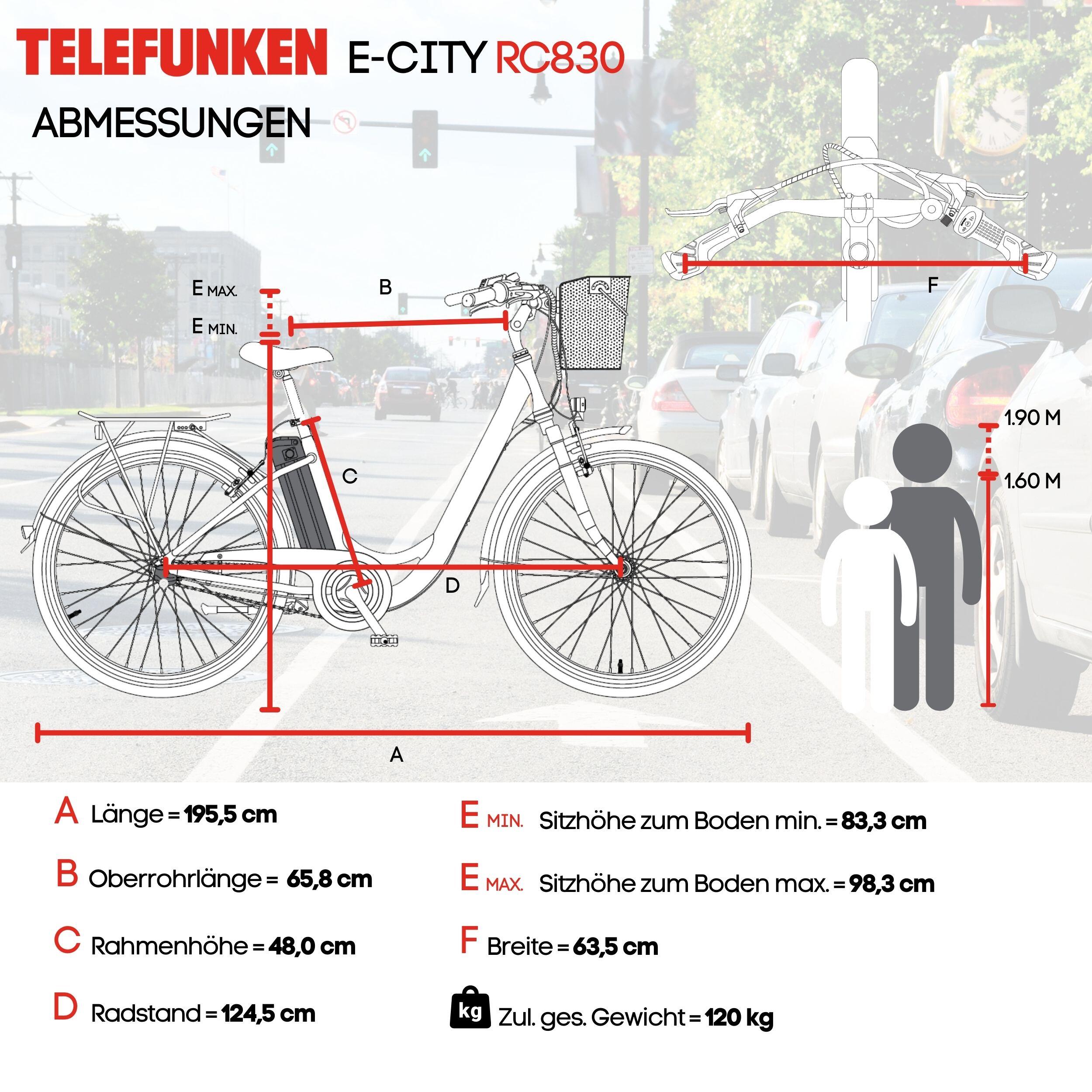 E-Bike RC830 28 Zoll 3-Gang Pedelec City Elektrofahrrad Herren Damen grau 6/7