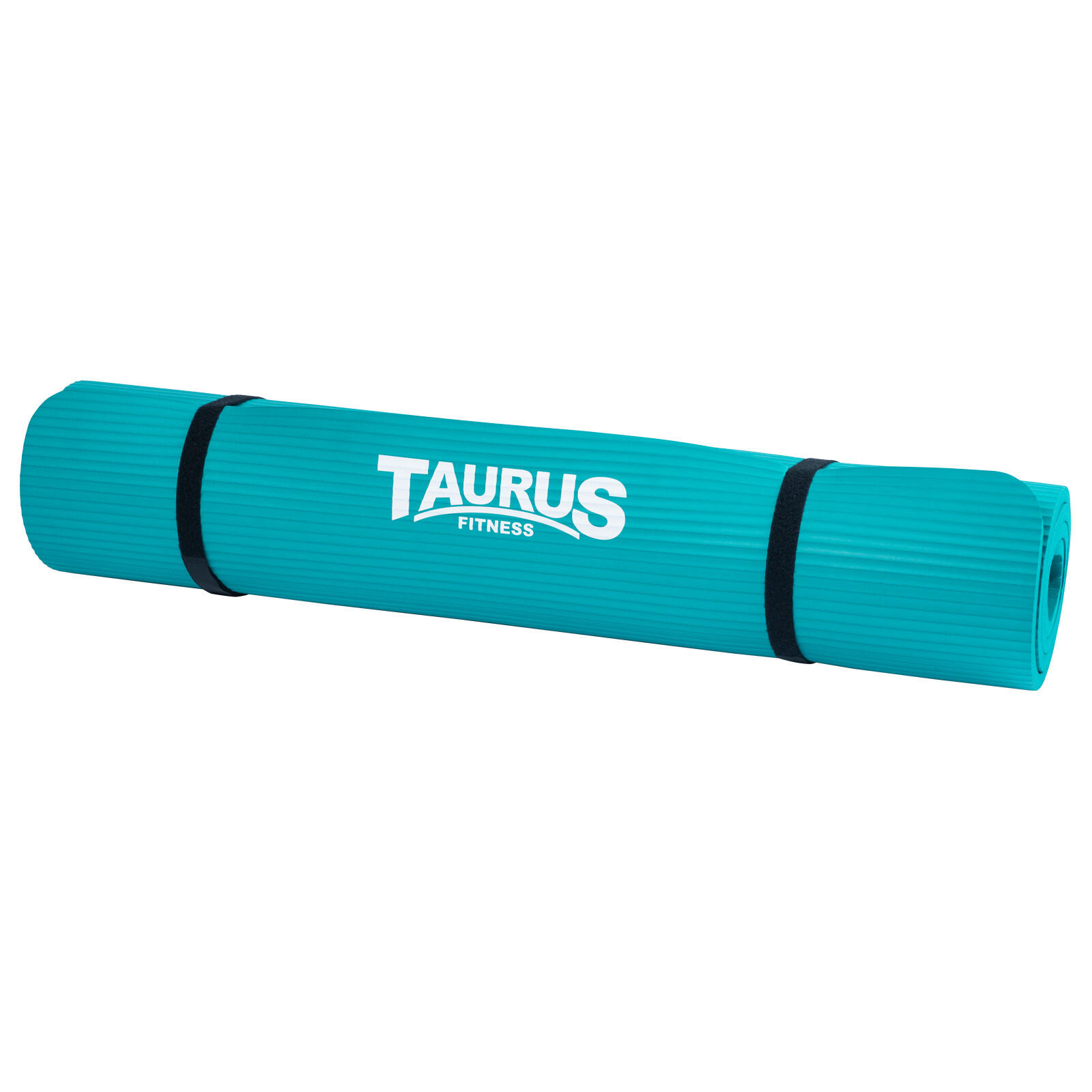 TAURUS picture