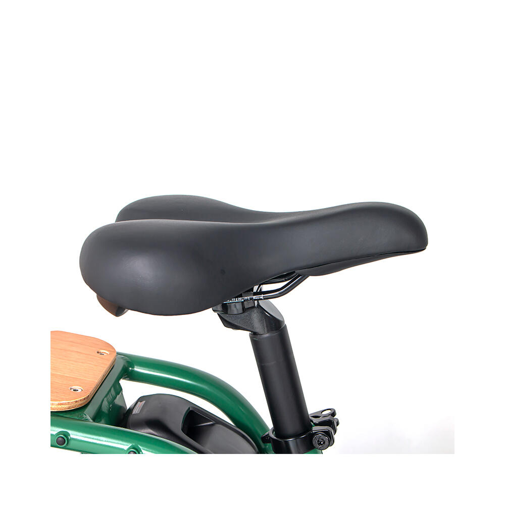 JOBOBIKE Transer elektrische bakfiets voor het hele gezin met dubbele accu 5/7