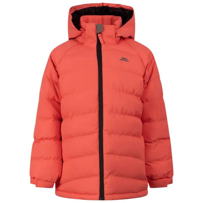 064a3b04-ef17-4f3c-9a9d-df7617e04c15_c20