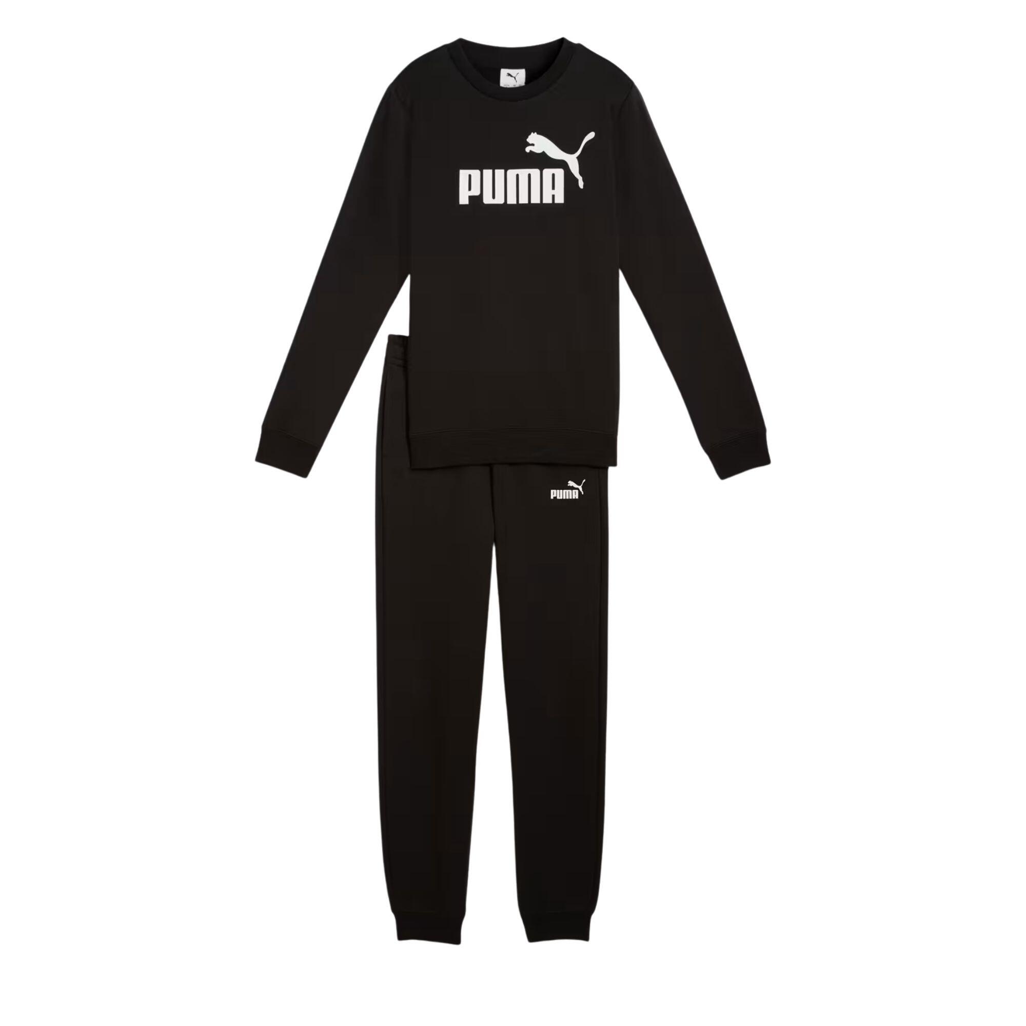 PUMA picture