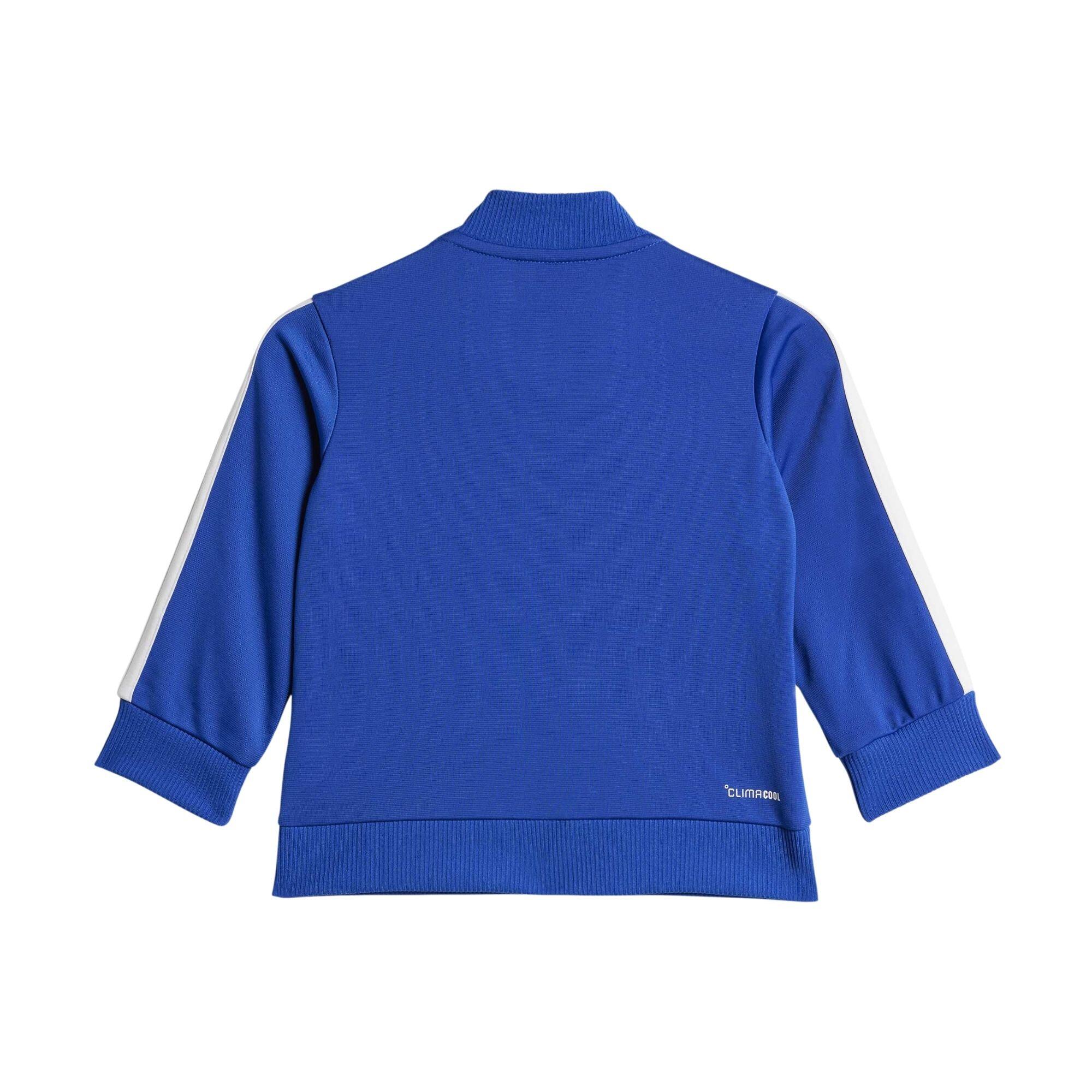 Survêtement Tiberio 3 Stripes Tricot Bleu - JN2235 4/5