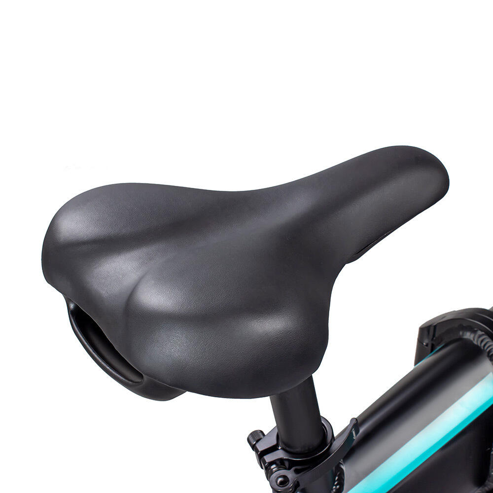 Bicicleta eléctrica plegable JOBOBIKE Eddy X con batería de 48 V 14 Ah 2/7