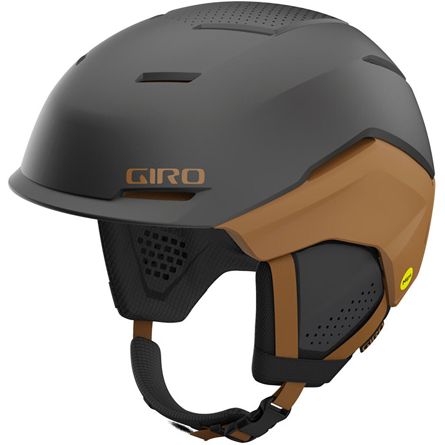 GIRO picture