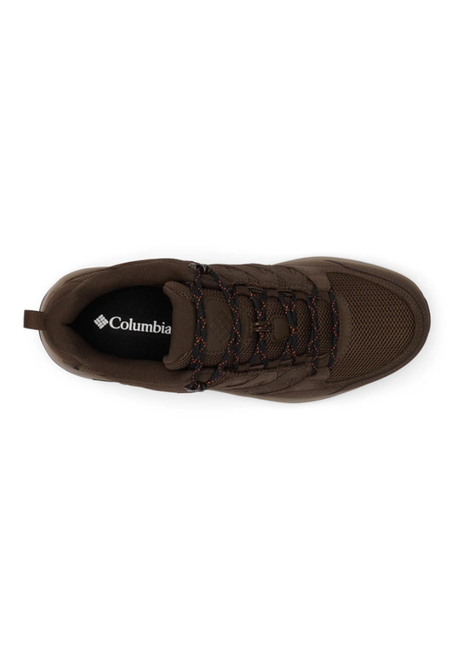 Sneakers uomo columbia marrone 5/6