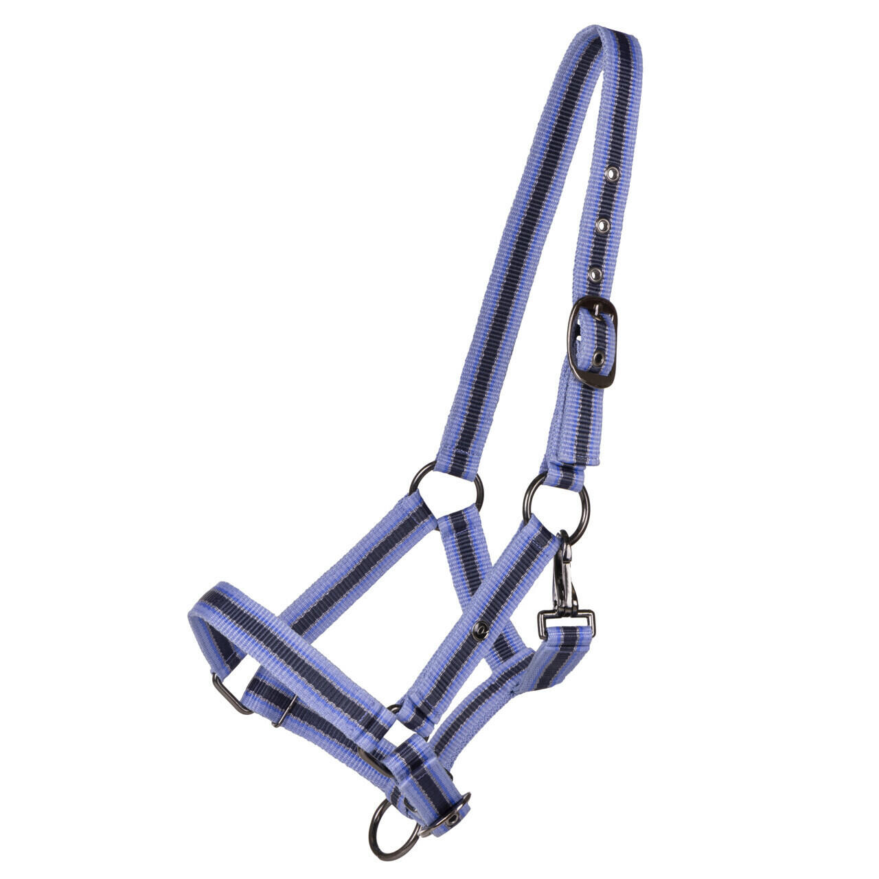 Licol de poulain collection pour cheval QHP 3/3