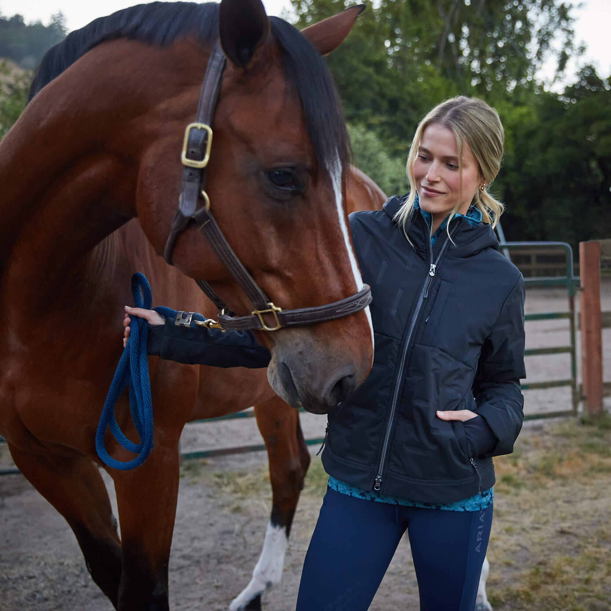 Veste équitation full zip femme Ariat Taxore Insulated 2/6