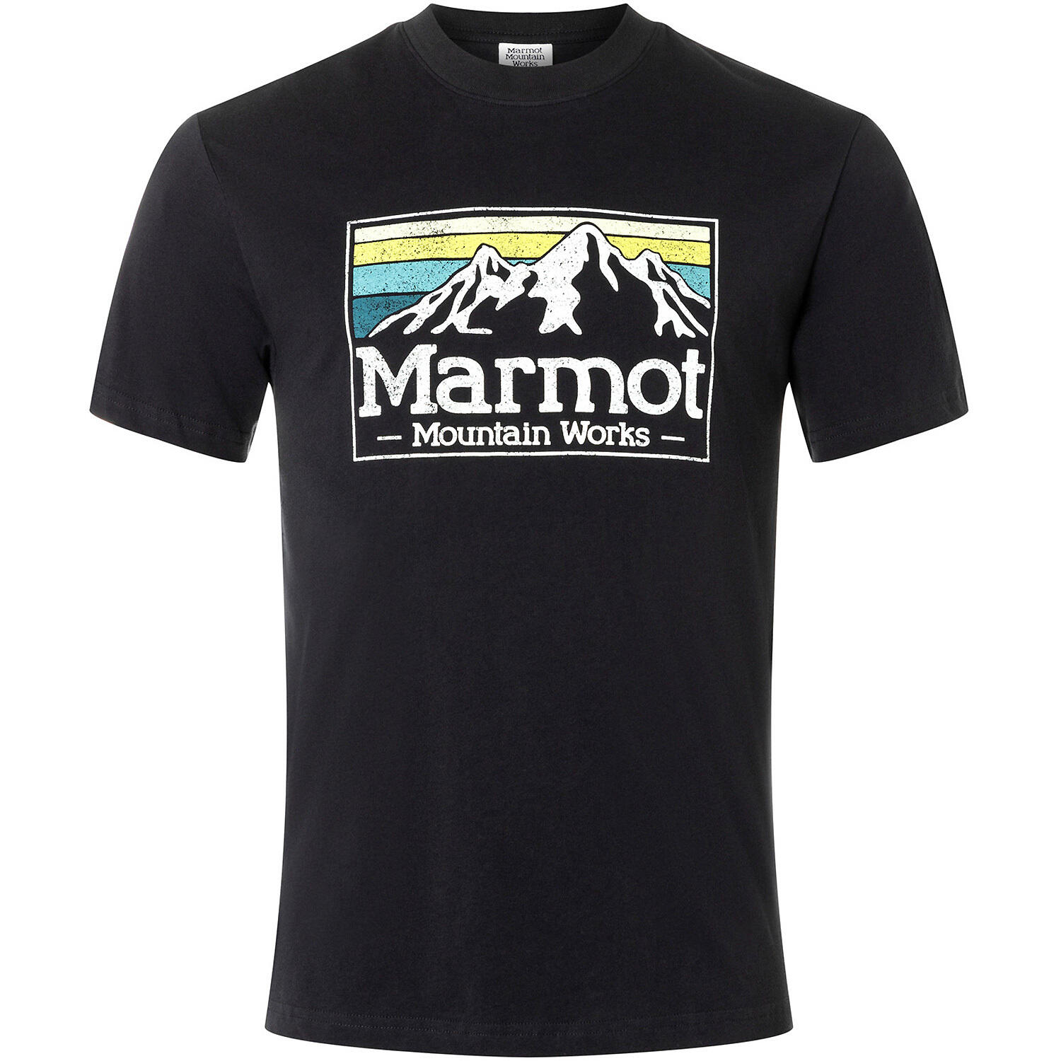MARMOT picture