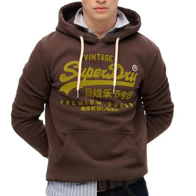 Hoodie superdry vintage logo ton sur ton