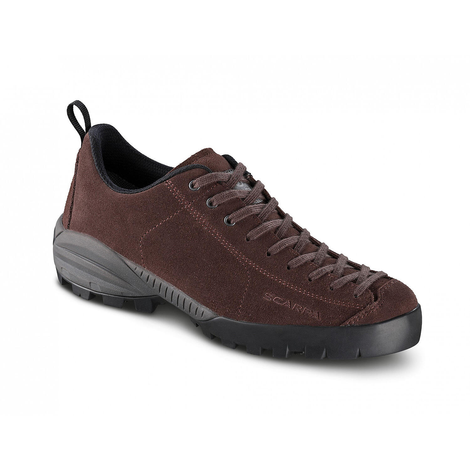 SCARPA picture