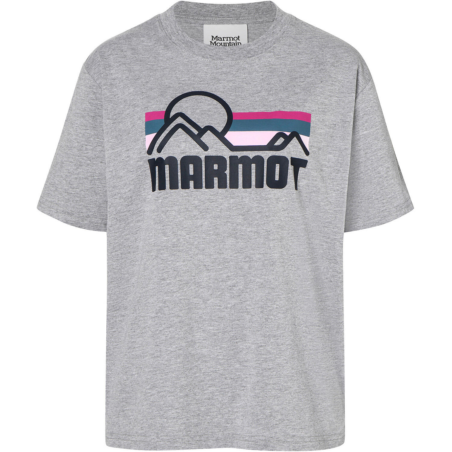 MARMOT picture