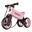 Bicicleta fara pedale 2 in 1 Funny Wheels Rider SuperSport Pastel Baby Pink