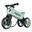 Bicicleta fara pedale 2 in 1 Funny Wheels Rider SuperSport Pastel Mint