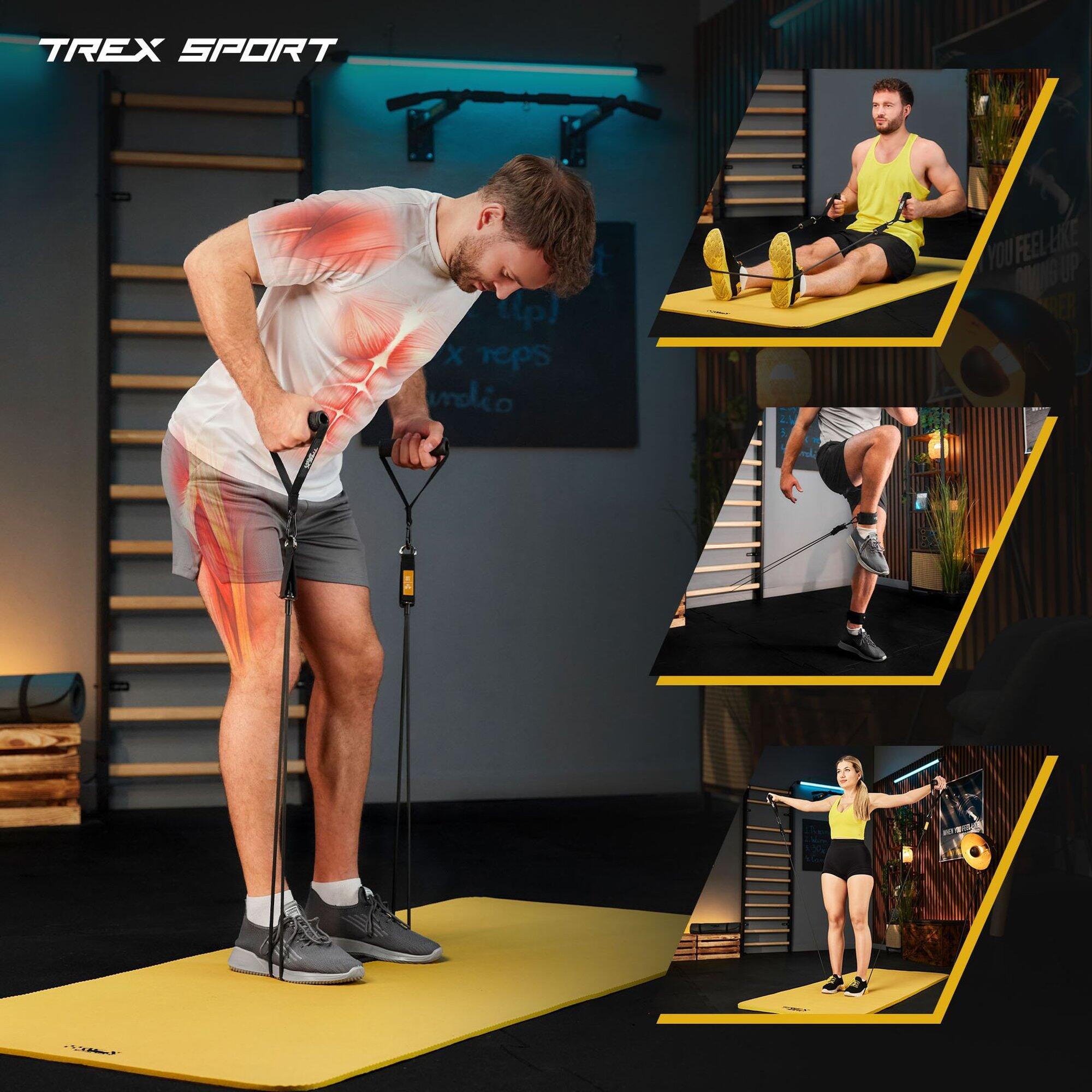 Set d'élastiques de musculation 5 pcs Trex Sport TX-050TS accessoires 5/7