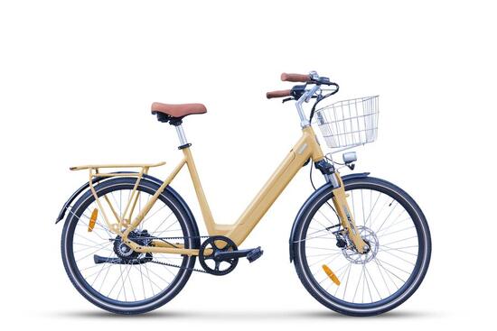 Vélo ville Electrique Femme et Homme - Design- Folio - 250W - 80km d'autonomie