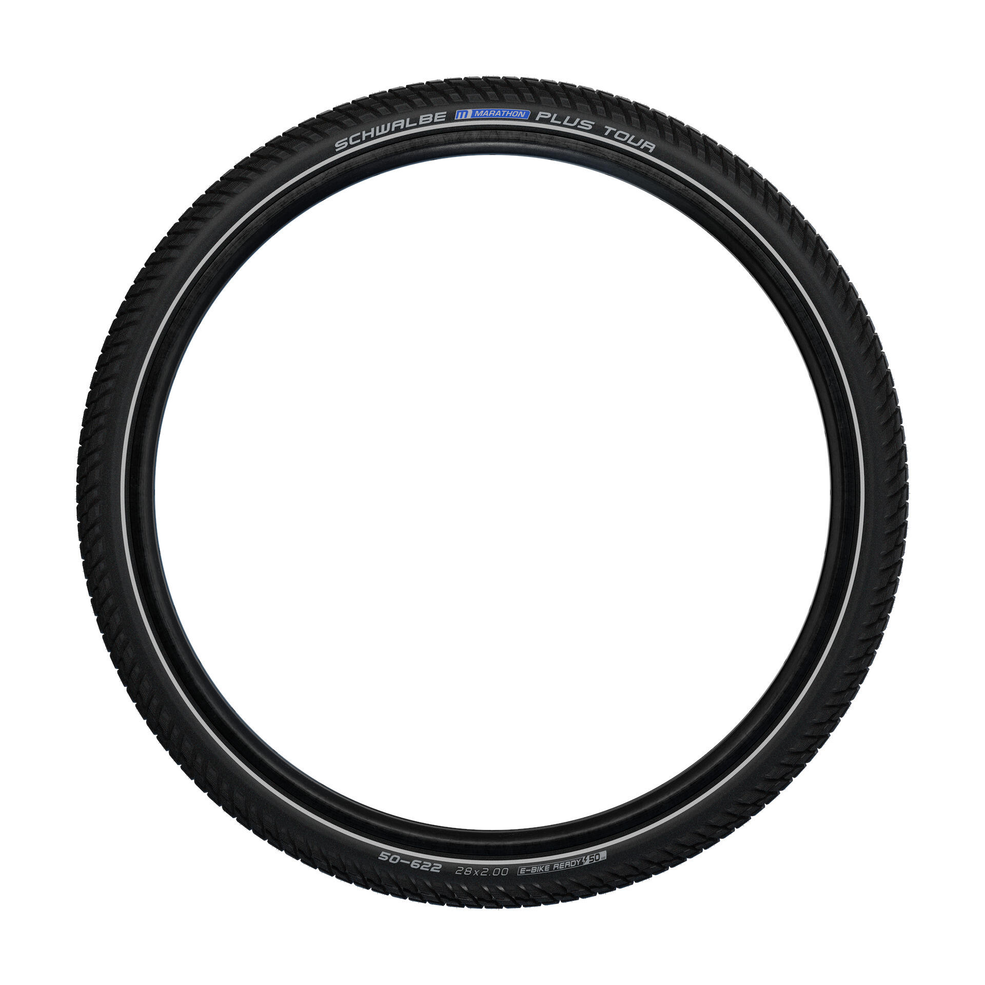 Schwalbe