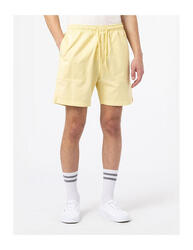 DICKIES DK0A4XB2 - Court