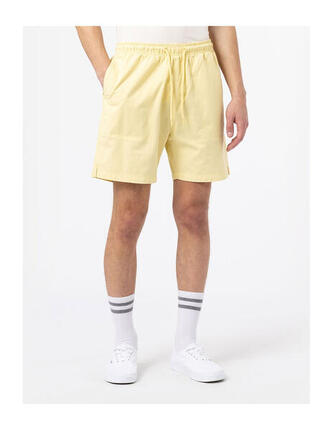 DICKIES DK0A4XB2 - Court