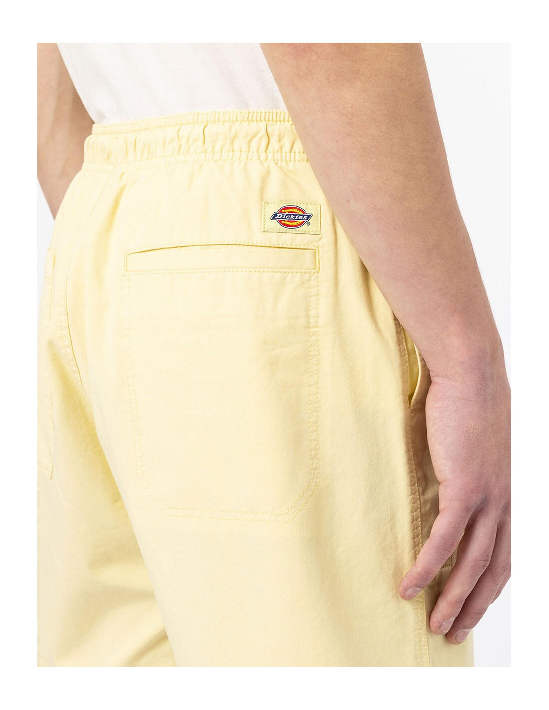 DICKIES DK0A4XB2 - Corto 3/5