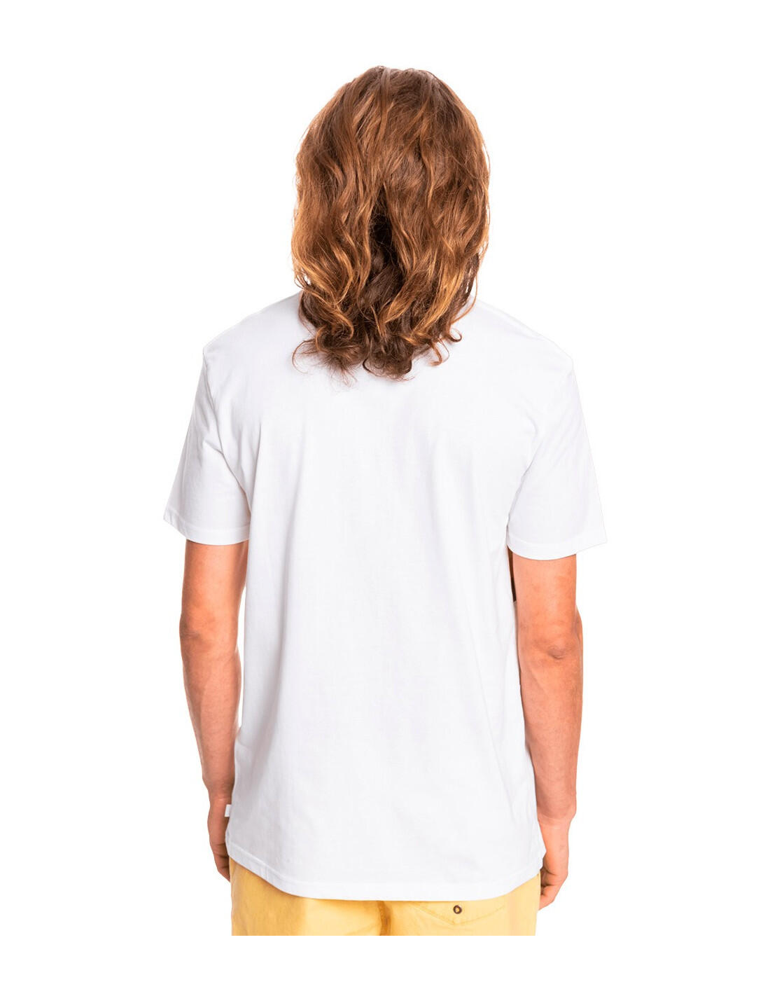 QUIKSILVER Resin Tint Pocket - Maglietta 3/5
