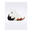 Adidași Converse Run Star Motion