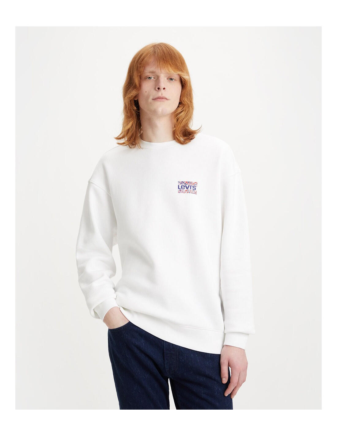 Sweat-shirt Levi's Relaxed Graphic Crew 1/5