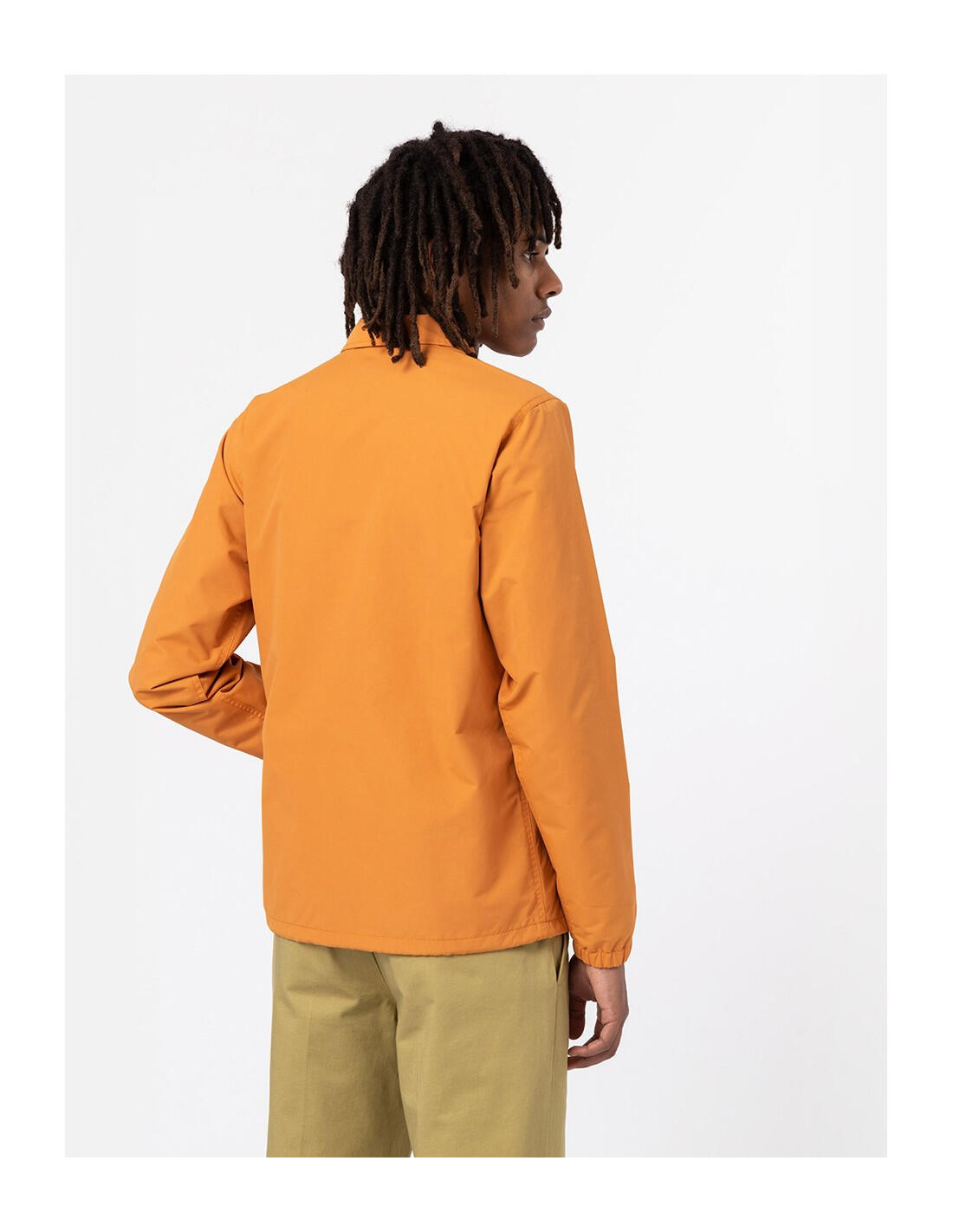 Jaqueta DICKIES DK0A4XEW 3/5