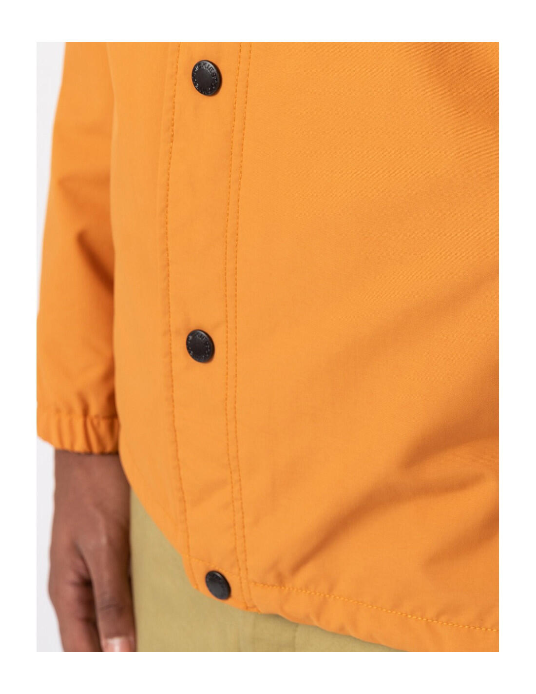 Jaqueta DICKIES DK0A4XEW 5/5