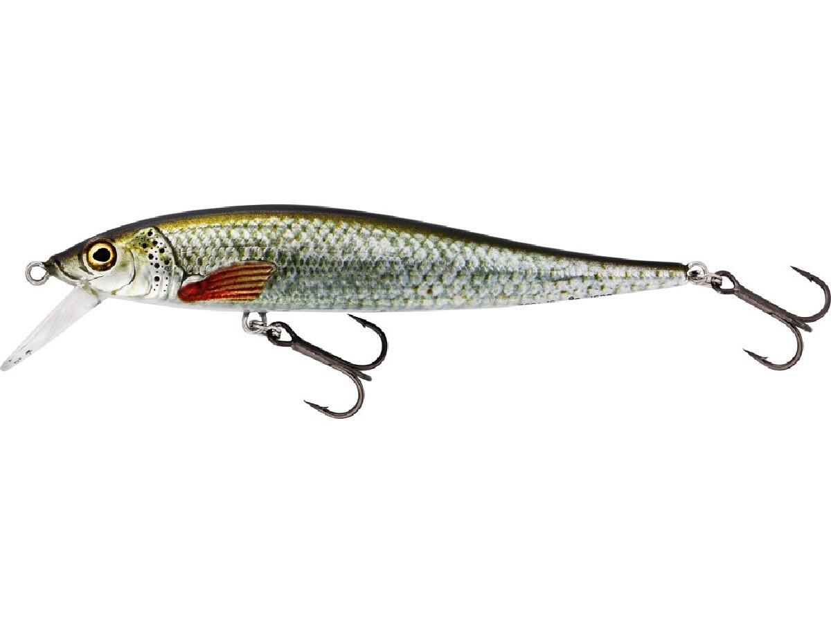 Westin Jerkbite SR 9 cm 8 gr Suspending Real Roach - Westin Kunstaas 1/2