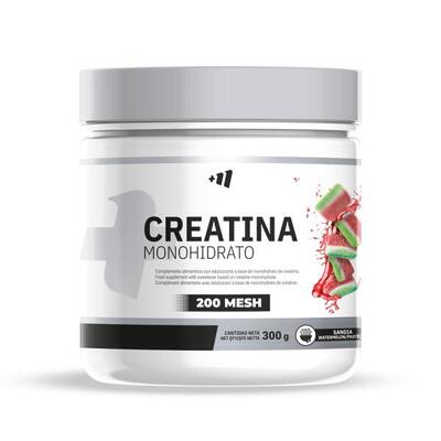 Creatine monohydraat 200 mesh - 300g gummy watermelons mm supplements