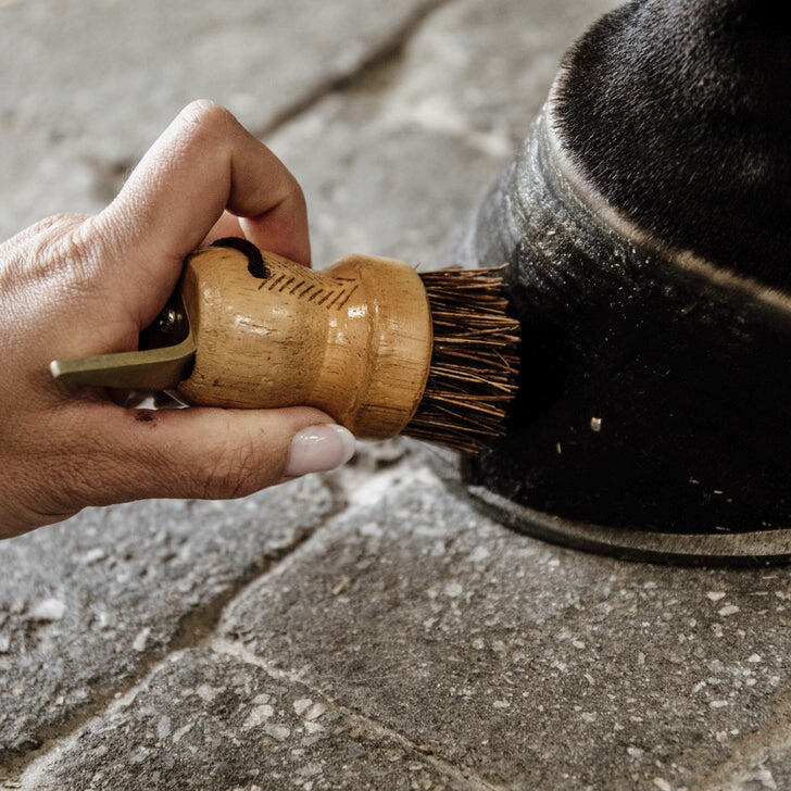 Small horse hoof pick Kentucky