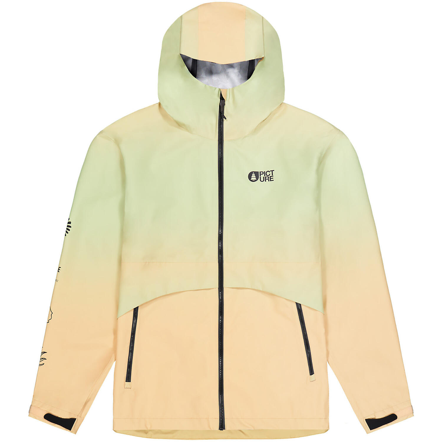 PICTURE picture