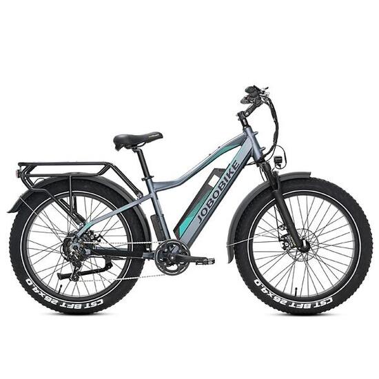 JOBOBIKE Robin All Terrains Bicicletta elettrica con batteria 48V13AH