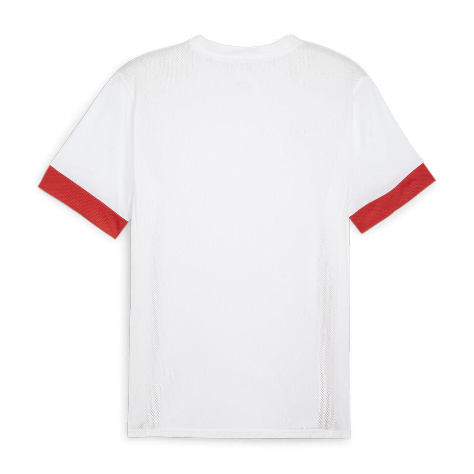 Koszulka Puma TeamGoal