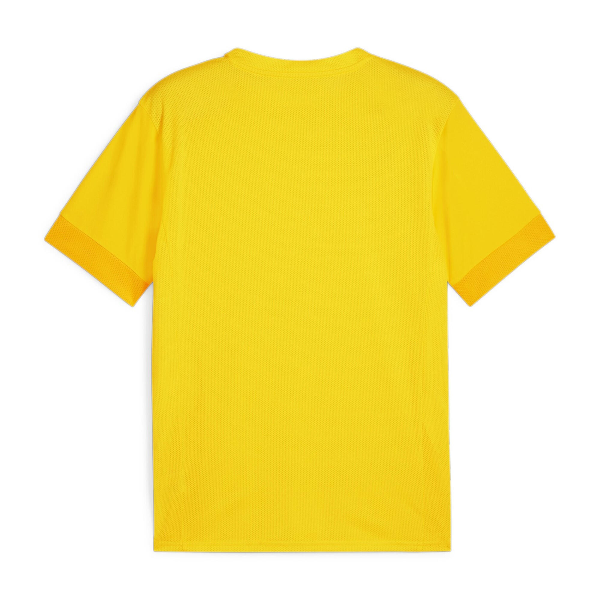 Jersey Puma TeamGoal 2/2