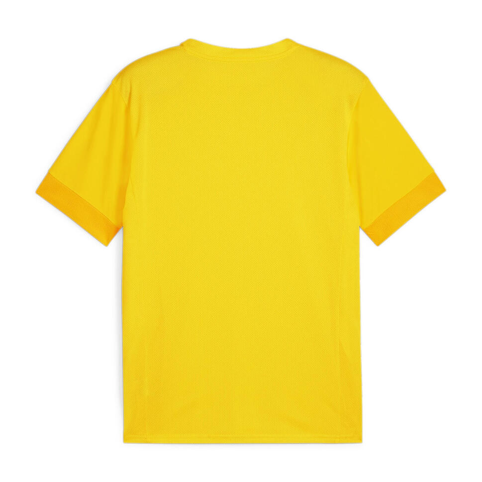 Koszulka Puma TeamGoal