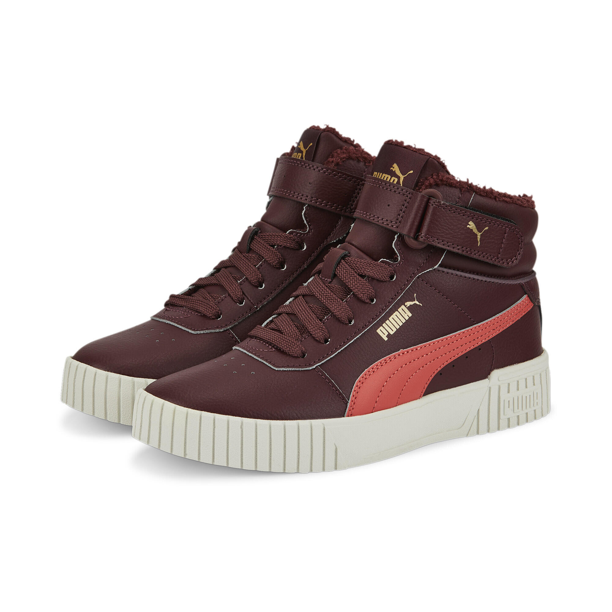 PUMA picture