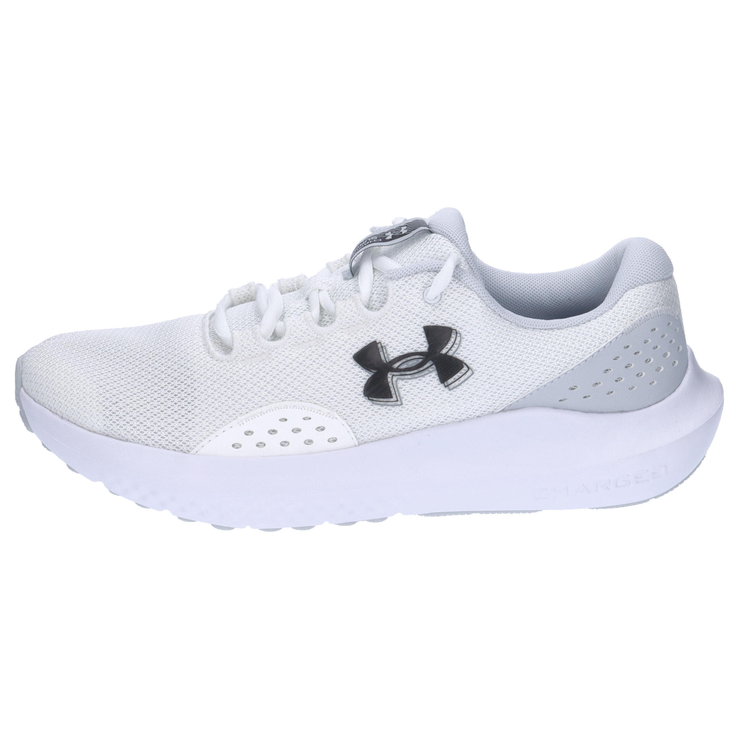 Under Armour Herren Laufschuhe Charged Surge 4 3027000 10/15
