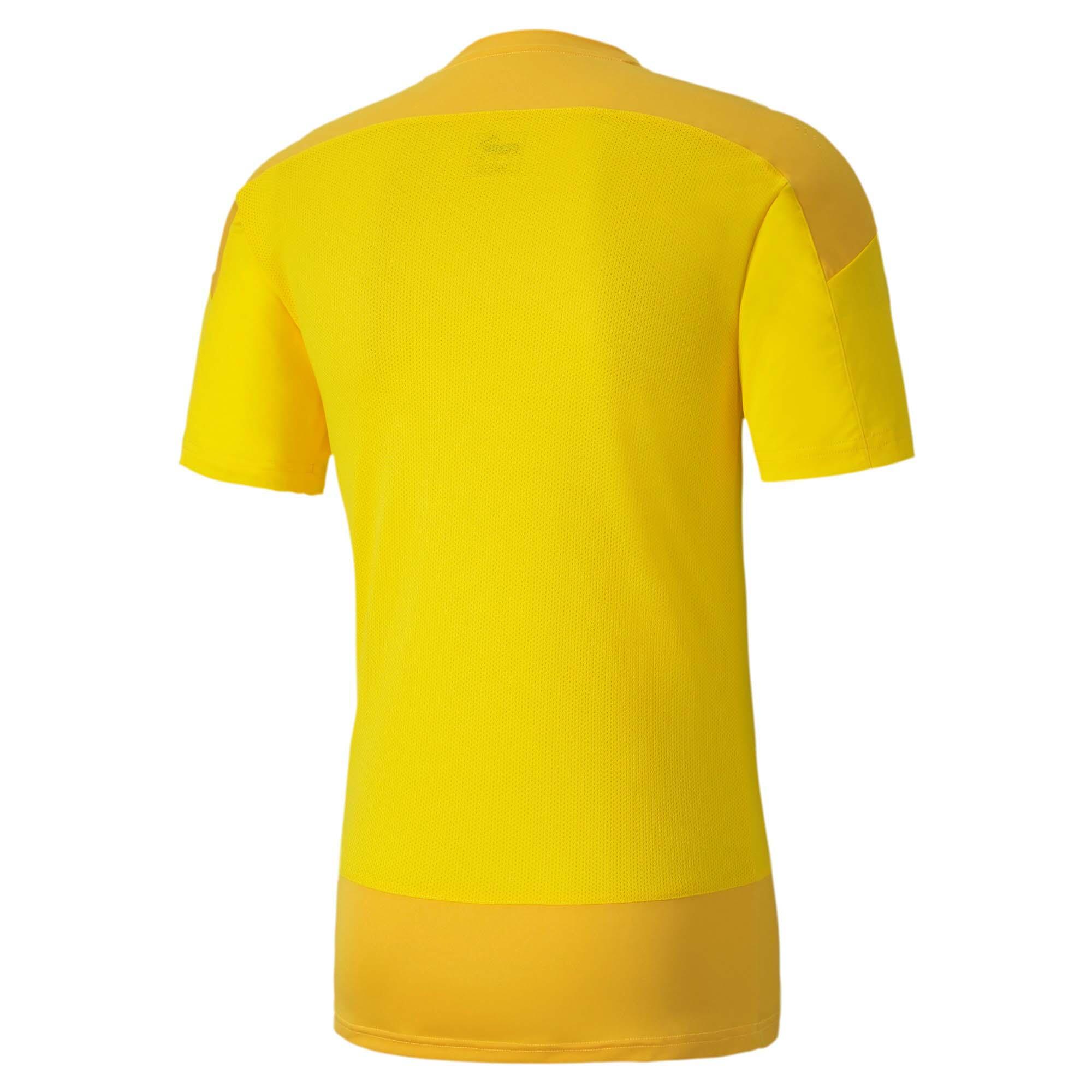 Puma Herren Trainingstrikot teamGOAL 23 Training Jersey 656482 3/3