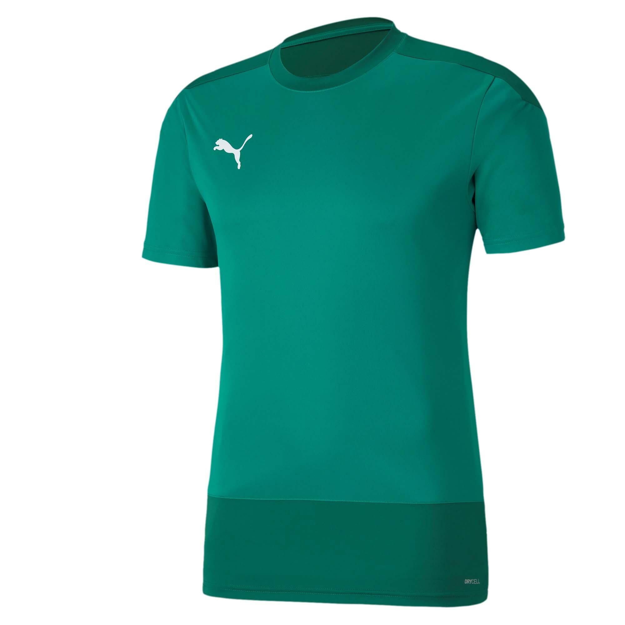 PUMA picture