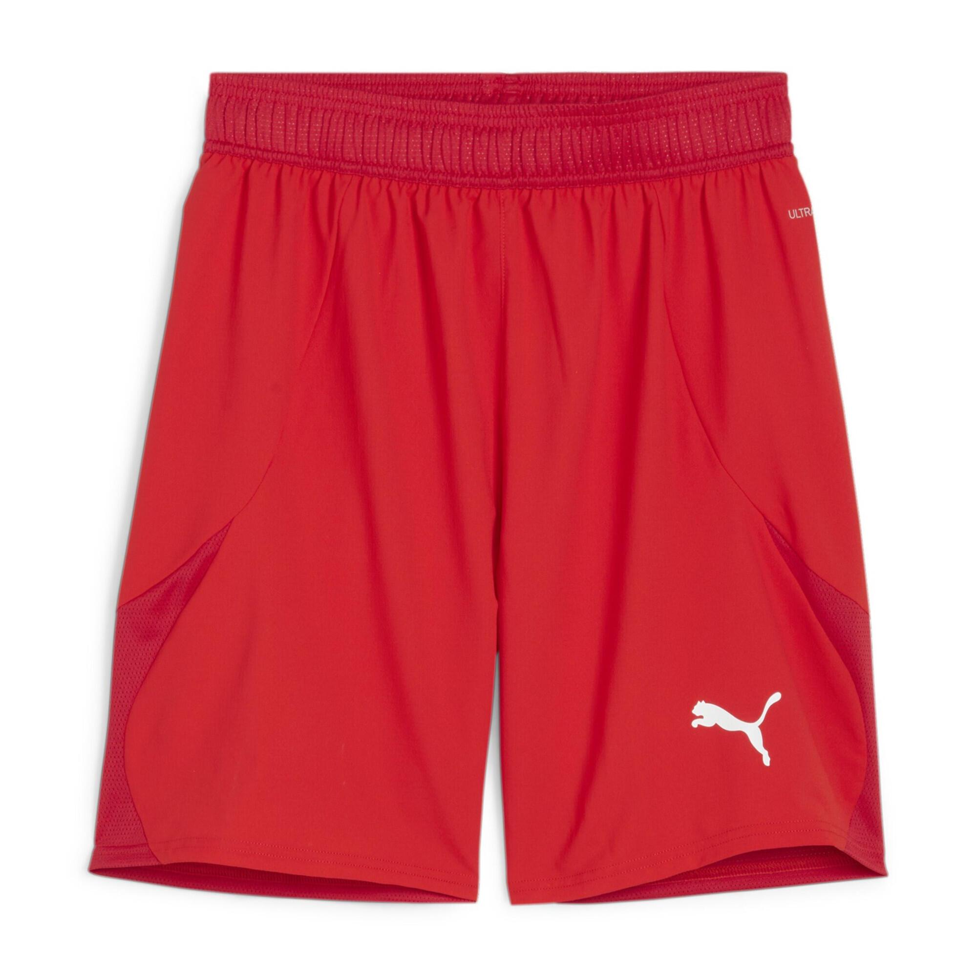 PUMA picture