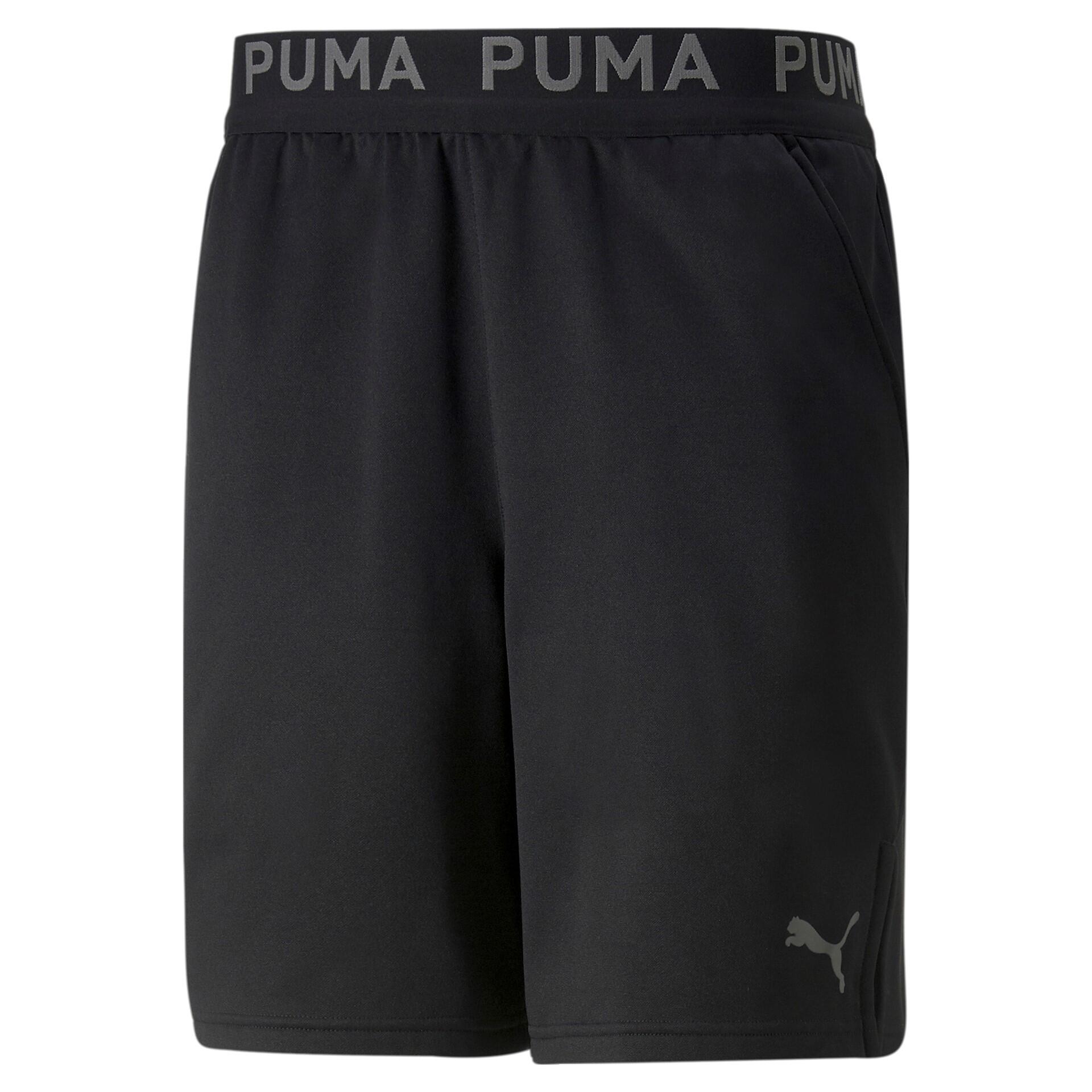 PUMA picture